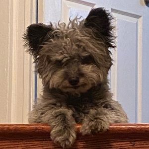 Meet your Posher, Nelida